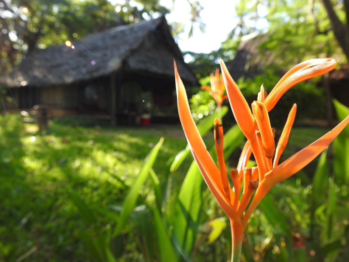 Peponi Beach Resort Pangani Eksteriør bilde