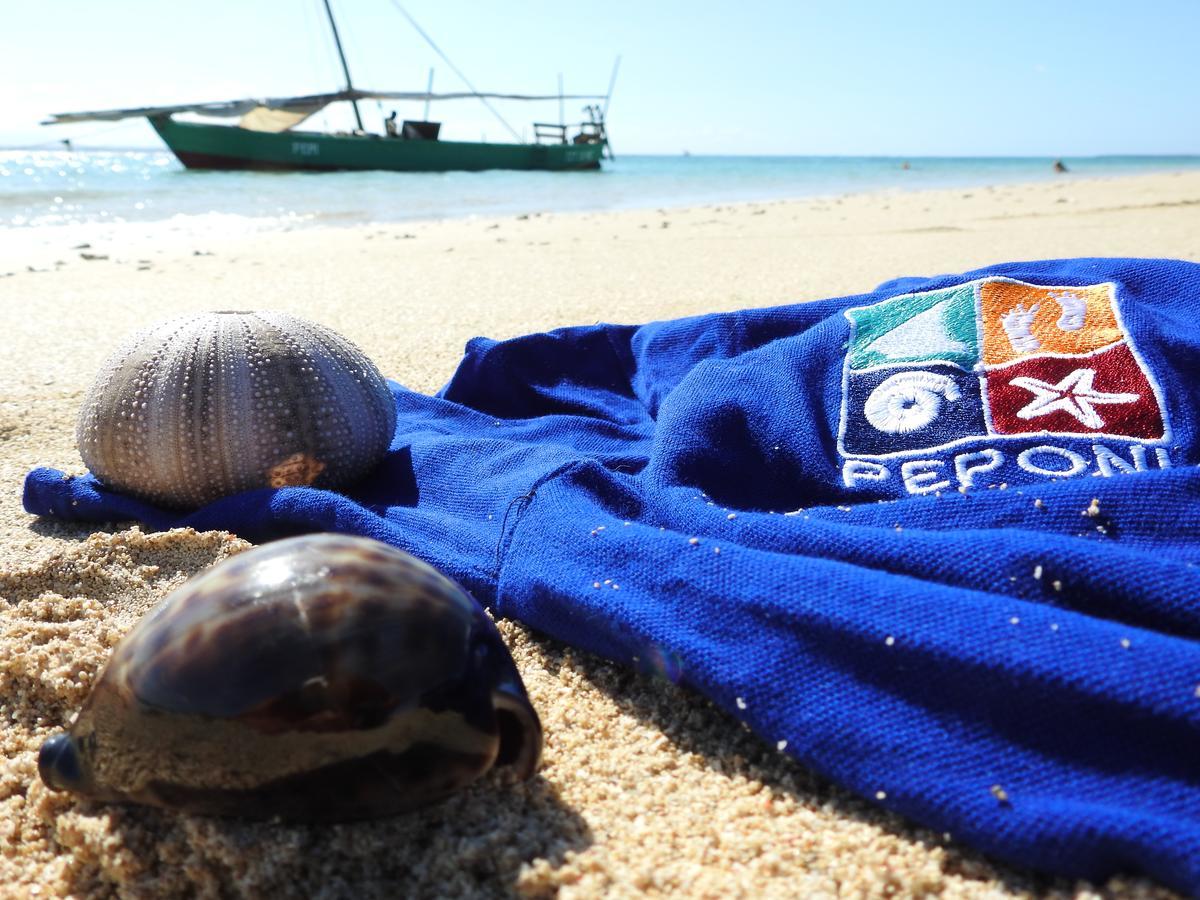 Peponi Beach Resort Pangani Eksteriør bilde